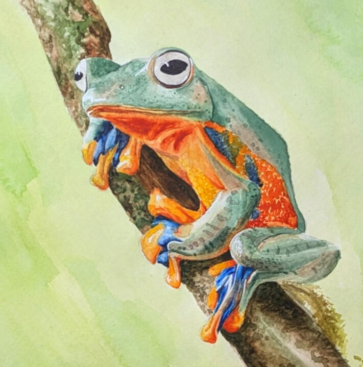 Watercolor